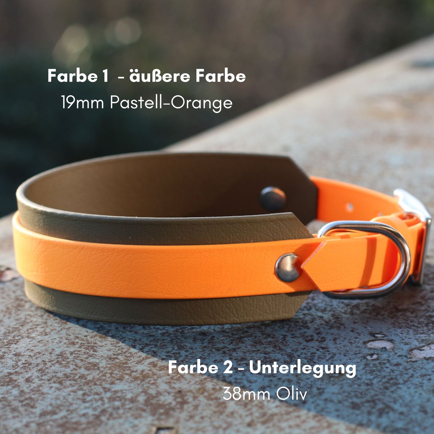 BioThane® Halsband zweifarbig | Modell "Layered"