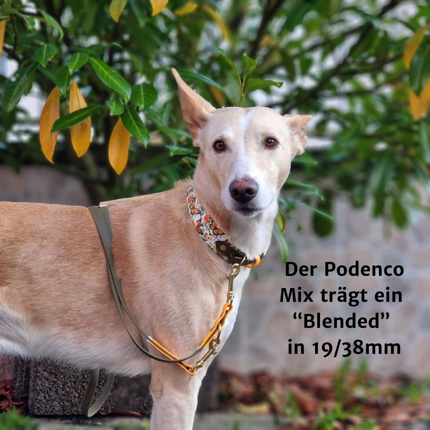 Print BioThane® Halsband | Modell "Blended"