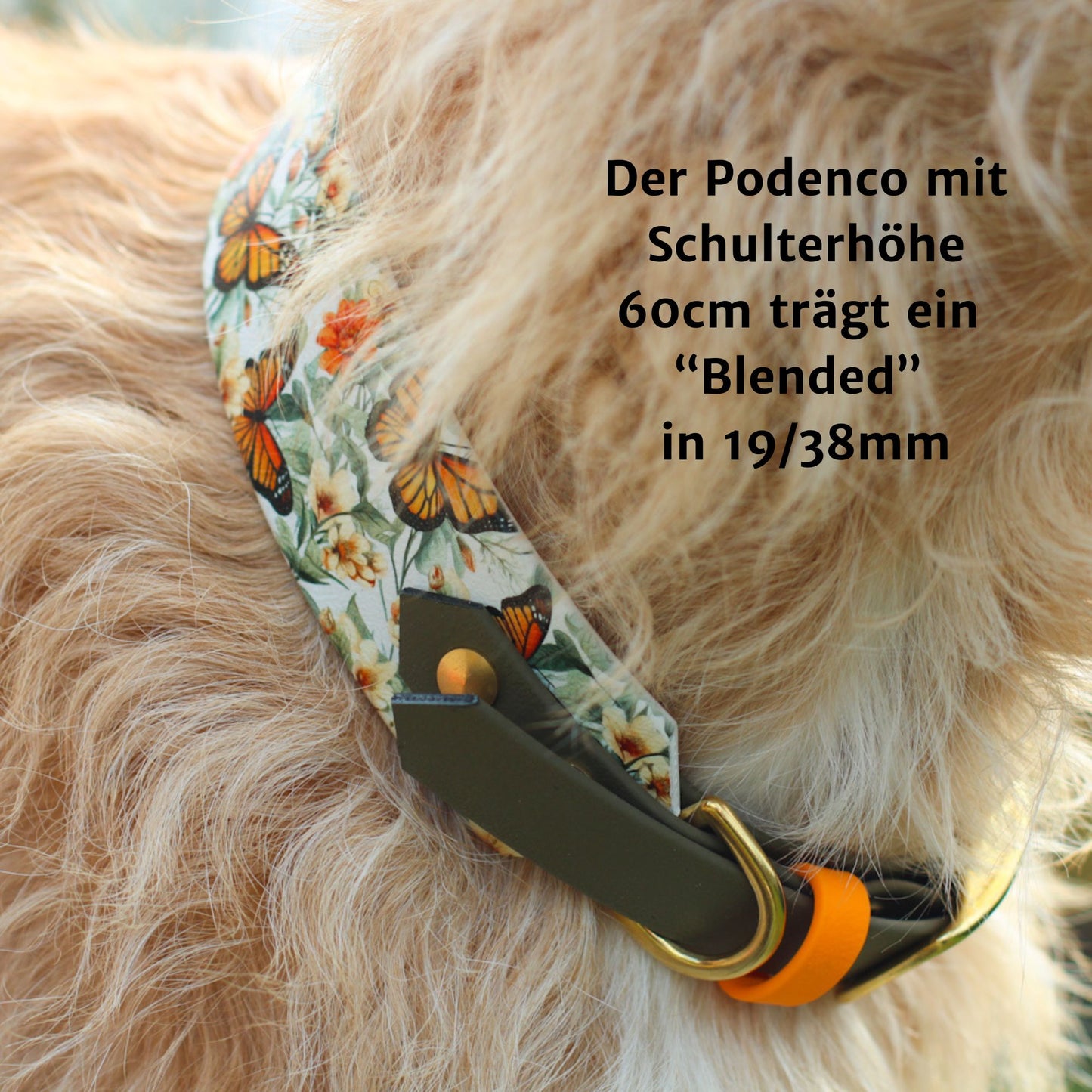 Print BioThane® Halsband | Modell "Blended"