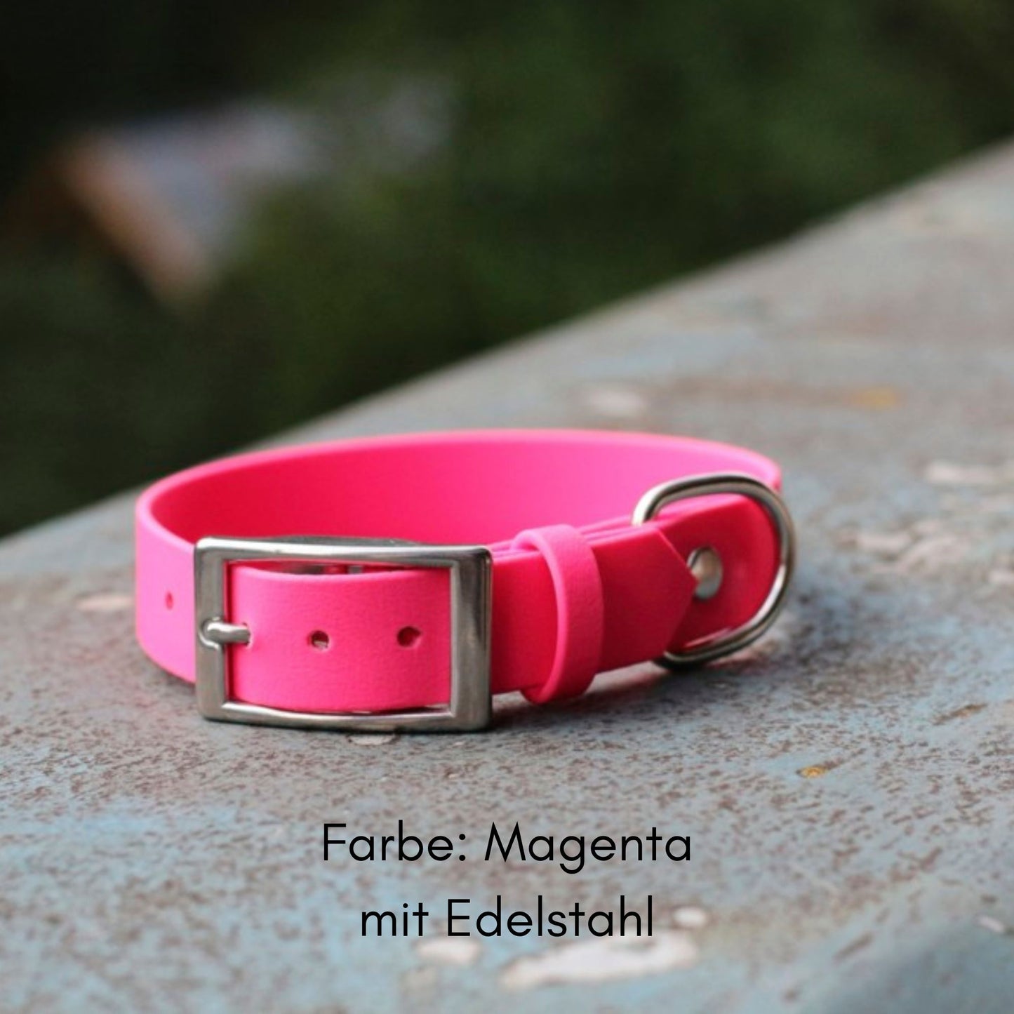 Biothane Halsband in Magenta mit Schnalle aus Edelstahl