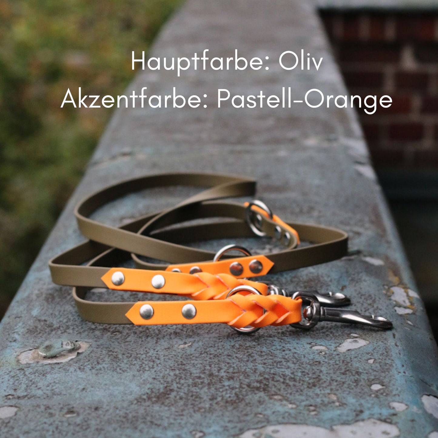 zweifarbige geflochtene Biothane Hundeleine in Oliv mit Pastell-Orange