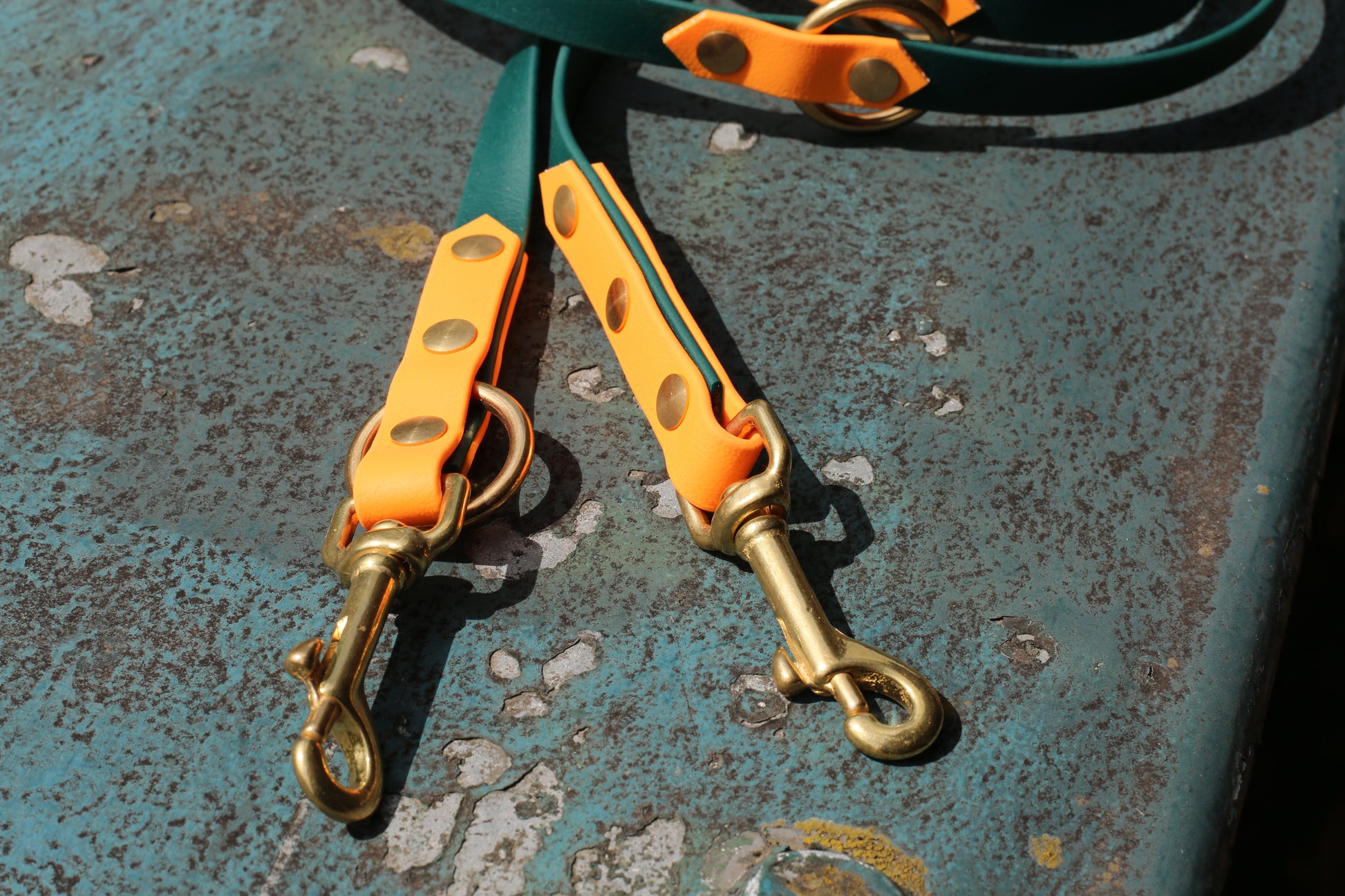 Handgemachte Hundeleine aus biothane