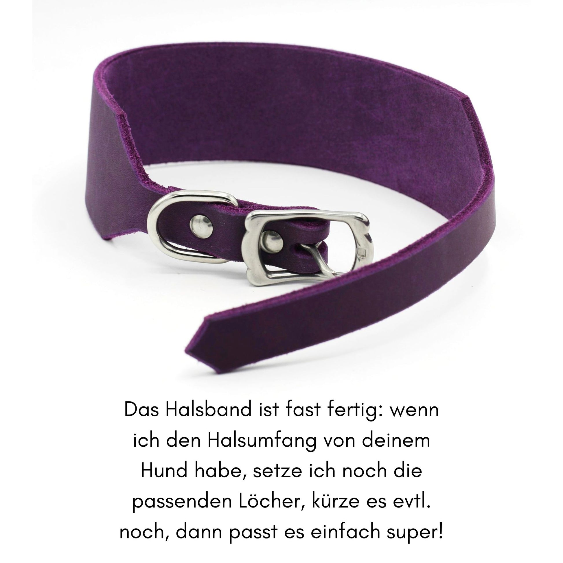 breites Fettlederhalsband für Windhund oder großen Hund in traumhaftem Lila mit Info Text
