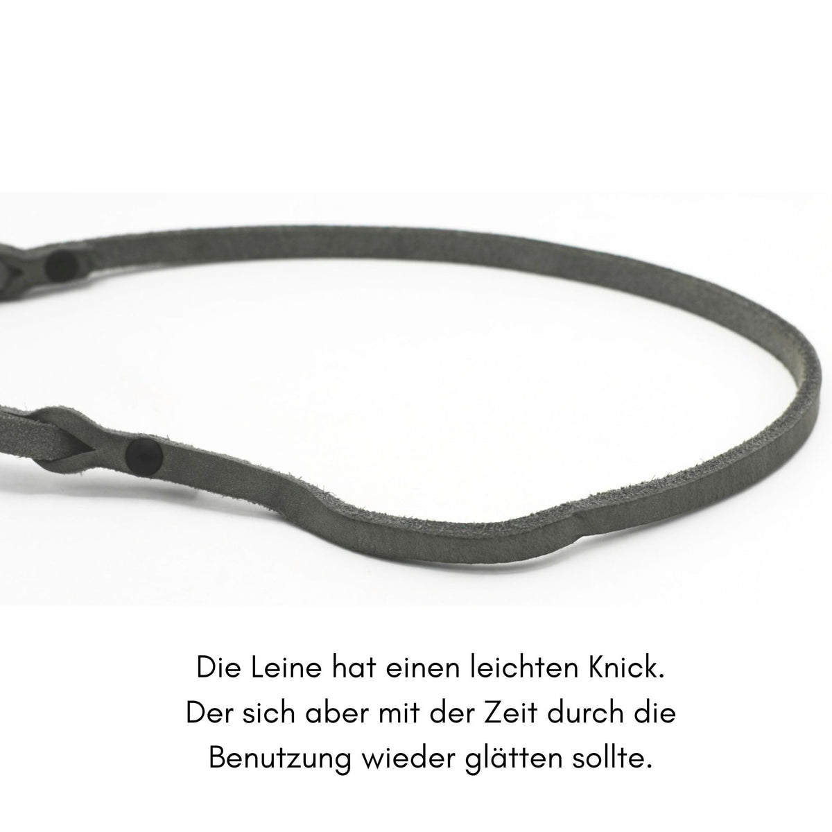 Fettleder Kurzführer Hundeleine mit Flechtung | Breite 8mm | Länge 88cm