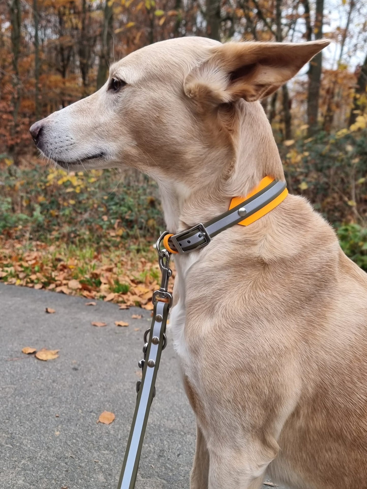 BioThane® Halsband reflektierend | Modell "Layered"