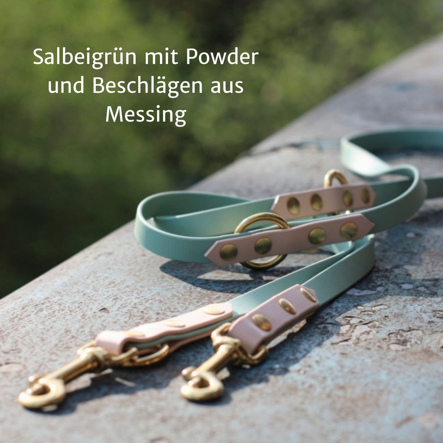 Zweifarbige BioThane® Hundeleine | dreifach verstellbar