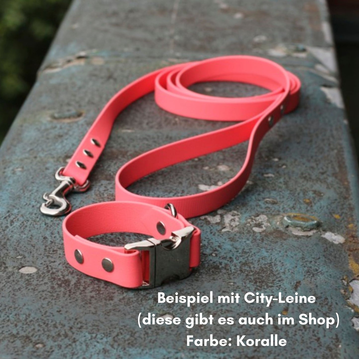 BioThane® Hundehalsband mit Alu-Maxx® Klickverschluss | Modell "Basic" | 19/25mm breit