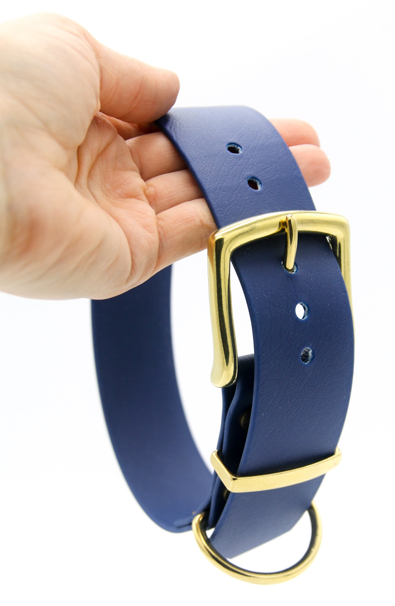 BioThane® Hundehalsband mit Messing-Schnalle | Modell "Statement" | 38mm breit