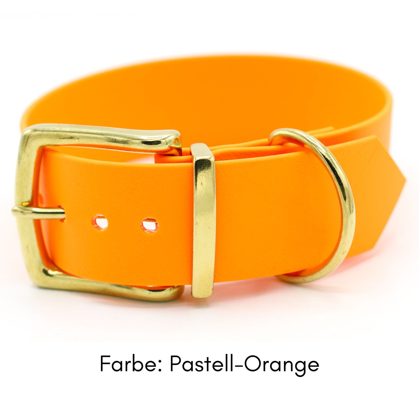 BioThane® Hundehalsband mit Messing-Schnalle | Modell "Statement" | 38mm breit