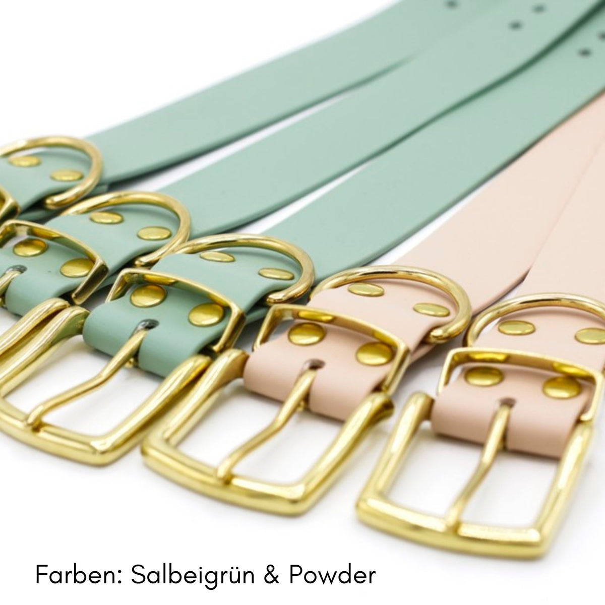 breites BioThane Halsband mit großer Messing Schnalle in Salbeigruen und Powder für große Hunde