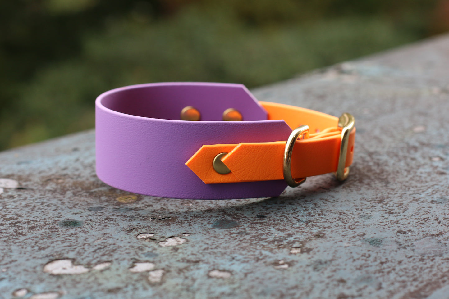 BioThane® Halsband zweifarbig | Modell "Blended"