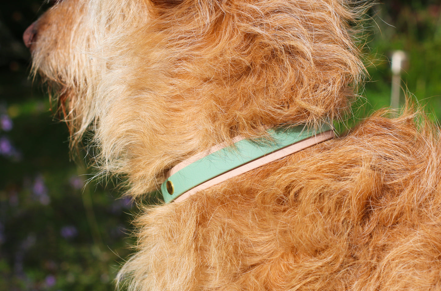 BioThane® Halsband zweifarbig | Modell "Layered"