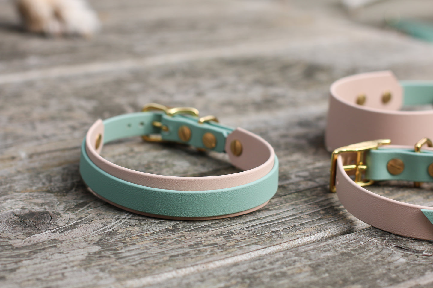 BioThane® Halsband zweifarbig | Modell "Layered"