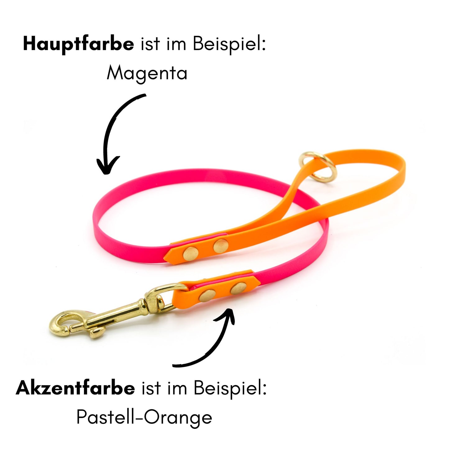 Zweifarbige BioThane® Hundeleine | nicht verstellbar | City-Leine