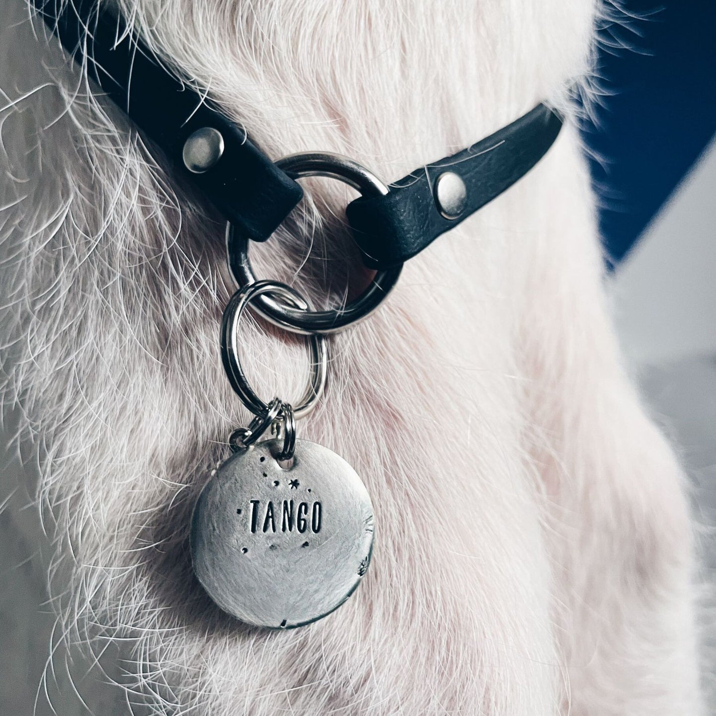 Fettleder Markenhalsband | Modell "Braided"