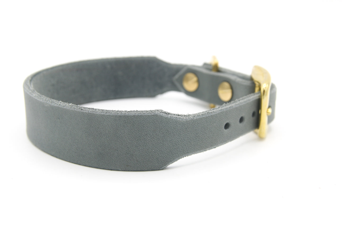 Fettleder Halsband | Modell "Amazing" | Windhundhalsband