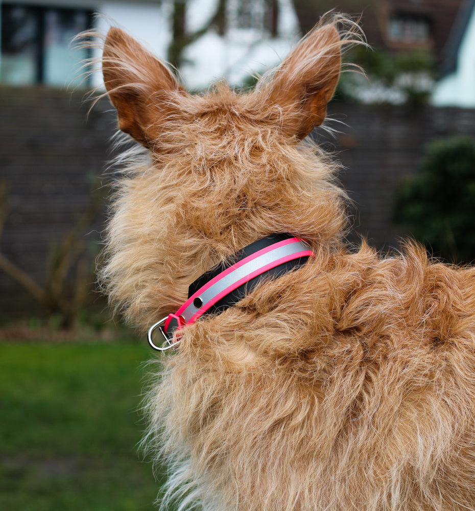 BioThane® Halsband reflektierend | Modell "Layered"