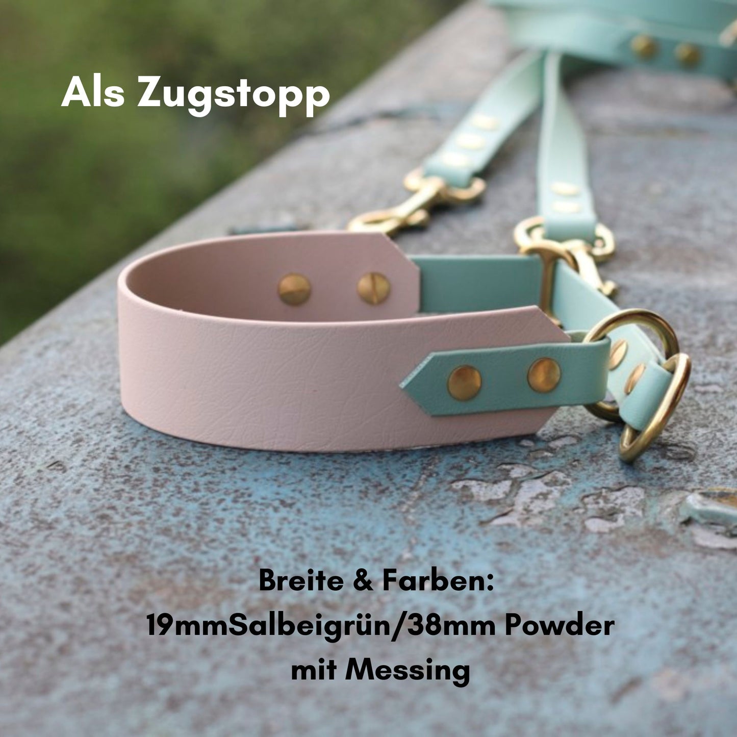 BioThane® Halsband zweifarbig | Modell "Blended"