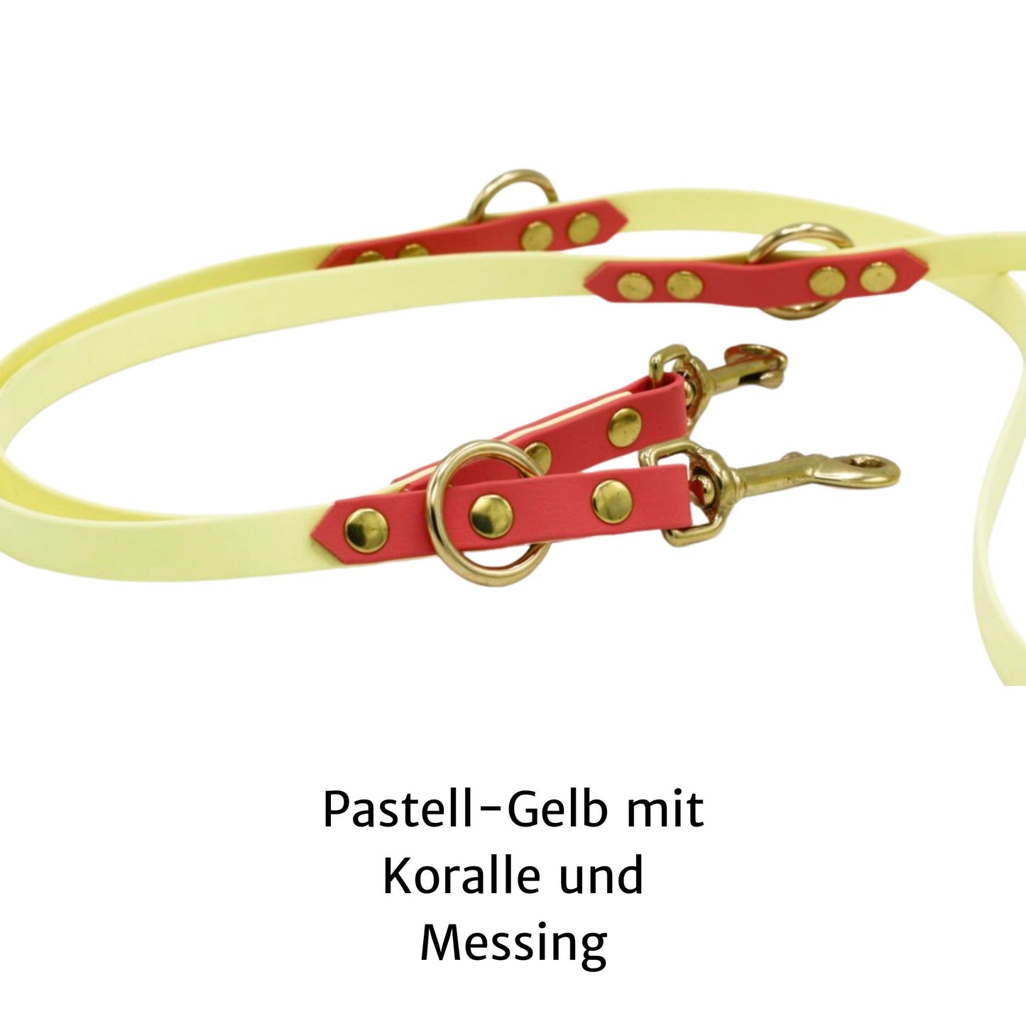 zweifarbige verstellbare Biothane Hundeleine in Pastell-gelb mit Koralle und Messing