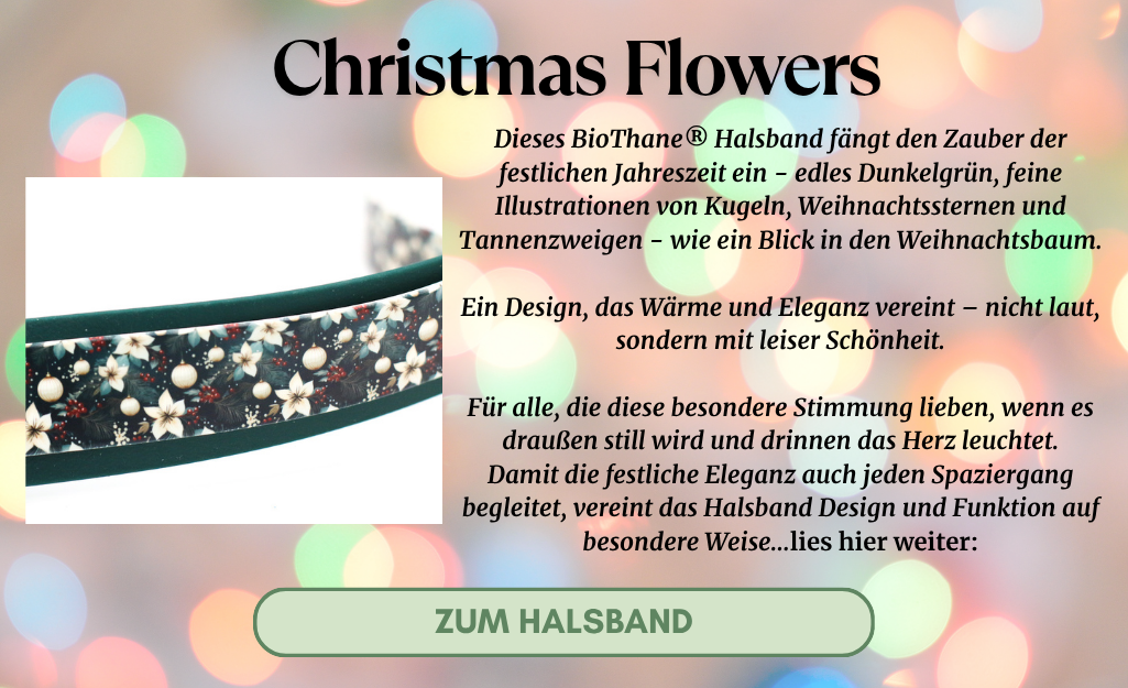 Hundehalsband Biothane Christmas Flowers mit Text Hundehalsband Biothane Christmas Flowers mit Text