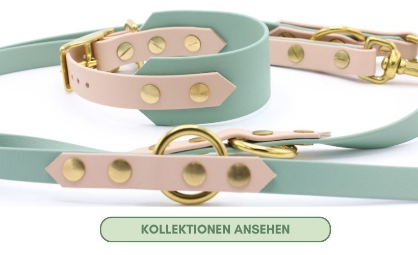 Link zu den Kollektionen