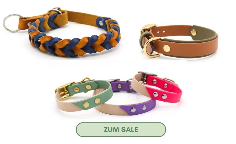 Link zur Sale Kategorie