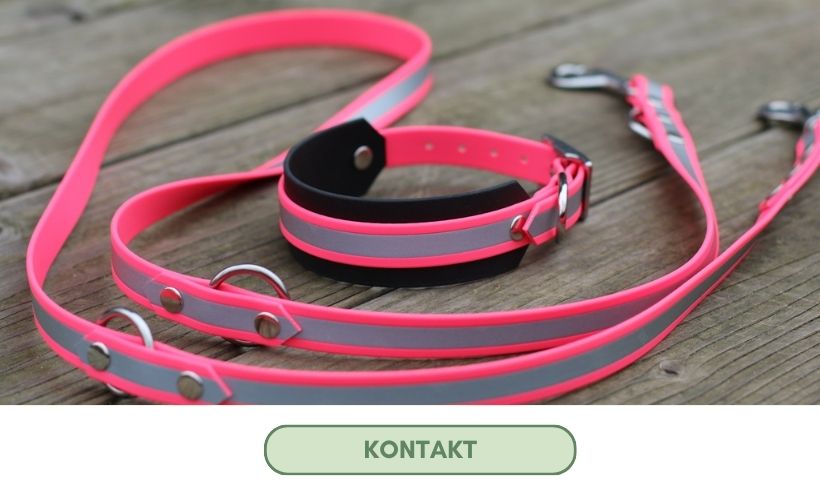 Link zum Kontaktformular