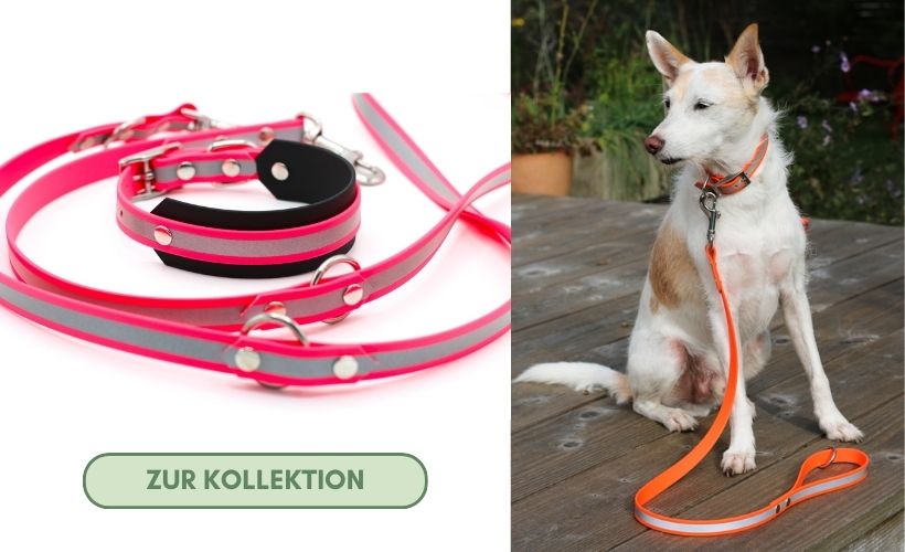 BioThane Hundehalsband und Leine Set reflektierend