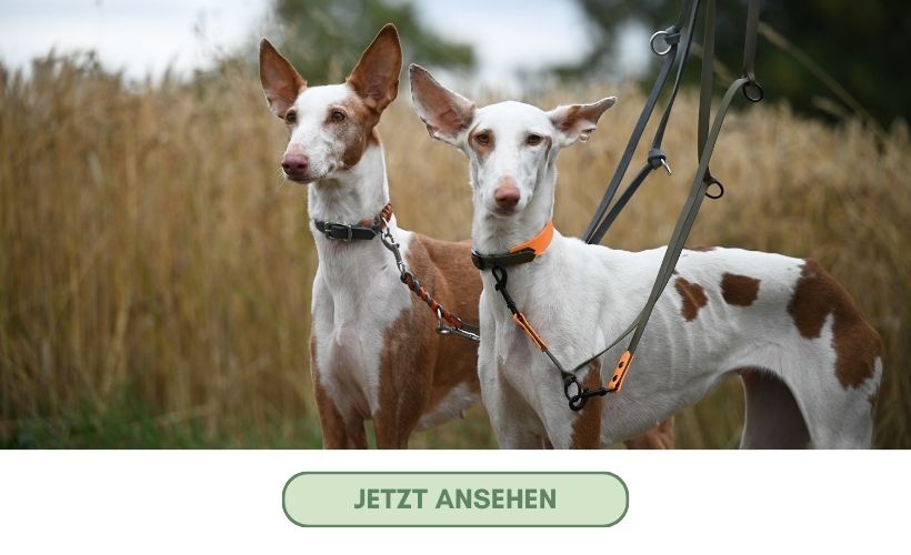 Link zur Kundengalerie