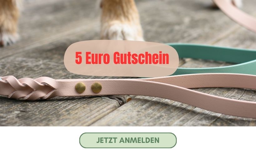 Anmeldung zum van Hundsen Newsletter