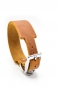 Preview: Breites Halsband "Wind und weg", nicht nur für Windhunde -  Farbe Cognac (Hellbraun) - verschiedene Beschlagsfarben
