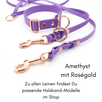 BioThane® Hundehalsband und Leine Set in Amethyst-Lila mit Rosegold