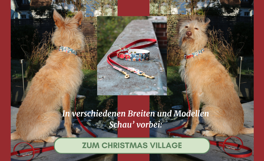 Biothane Hundehalsband und Leine Set Christmas Village Biothane Hundehalsband und Leine Set Christmas Village am Hund