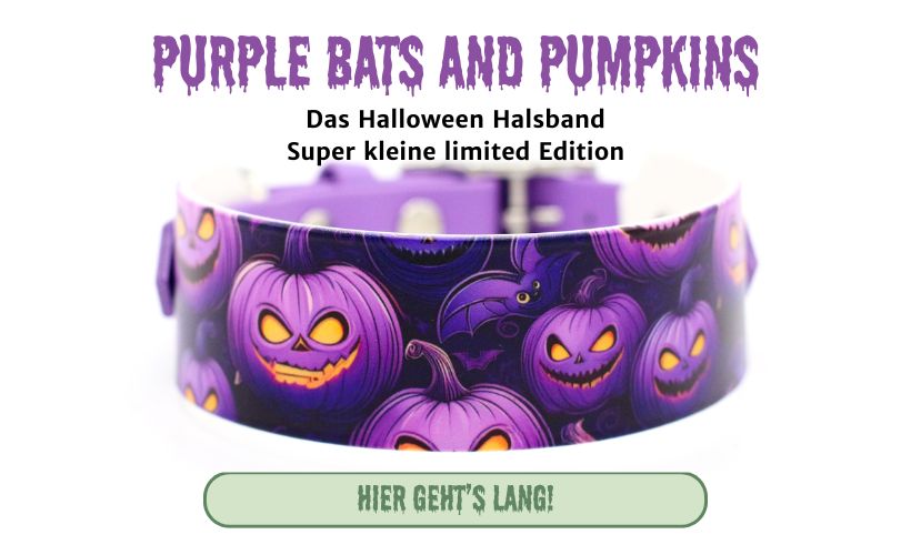 Breites Biothane Halsband mit Halloween Motiv