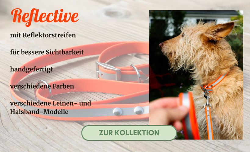 Biothane Hundehalsband und Leine reflektierend