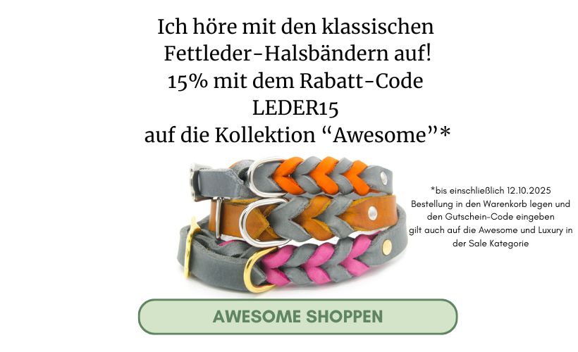 Hundehalsband Fettleder geflochten Awesome Angebot 15%