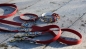 Preview: BioThane Halsband und Leine mit Markenband in dunkelrot mit weihnachtlichem Motiv im Detail