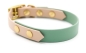 Preview: BioThane® Halsband zweifarbig, Hundehalsband breit, Windhundhalsband, in Salbeigrün und Powder seitlich von vorne