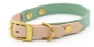 Preview: BioThane® Halsband zweifarbig, Hundehalsband breit, Windhundhalsband, in Salbeigrün und Powder von vorne