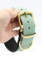 Preview: BioThane® Halsband gepolstert, Hundehalsband BioThane breit, in Salbeigrün in der Hand