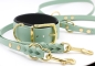 Preview: BioThane® Halsband gepolstert im set mit einer Hundeleine in Salbeigrün