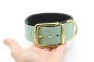 Preview: BioThane® Halsband gepolstert, Hundehalsband BioThane breit, in Salbeigrün