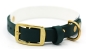 Preview: BioThane® Halsband - "Northern Lights" mit Dunkelgrün | Breite 19mm/25mm