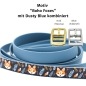 Preview: BioThane Halsband mit Boho Foxes Motiv