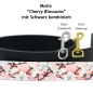 Preview: Cherry blossoms Motiv