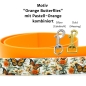 Preview: Orange Butterflies mit Pastell-Orange
