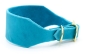 Preview: breites Lederhalsband Windhundhalsband in Türkis mit Messing Schnalle