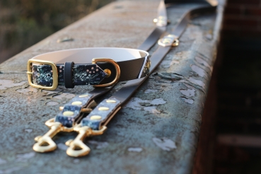 Biothane Halsband und Leine Set mit Juniper Berries Motiv