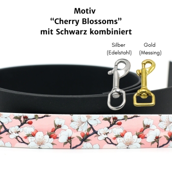 Cherry blossoms Motiv