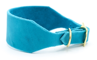 breites Lederhalsband Windhundhalsband in Türkis mit Messing Schnalle